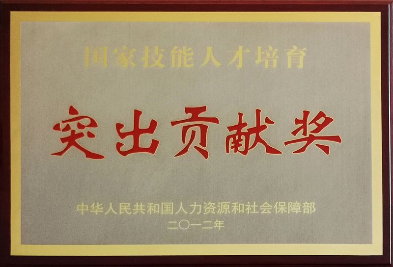 国度技术人才造就凸起贡献奖--