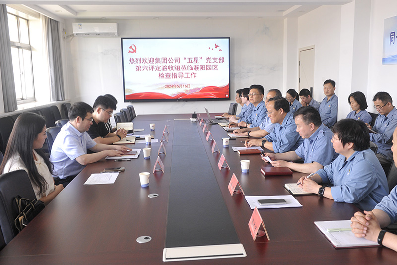 集团公司到濮阳园区查抄验收“五星”党支部